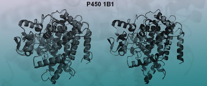 Melatonin Activation by the P450s